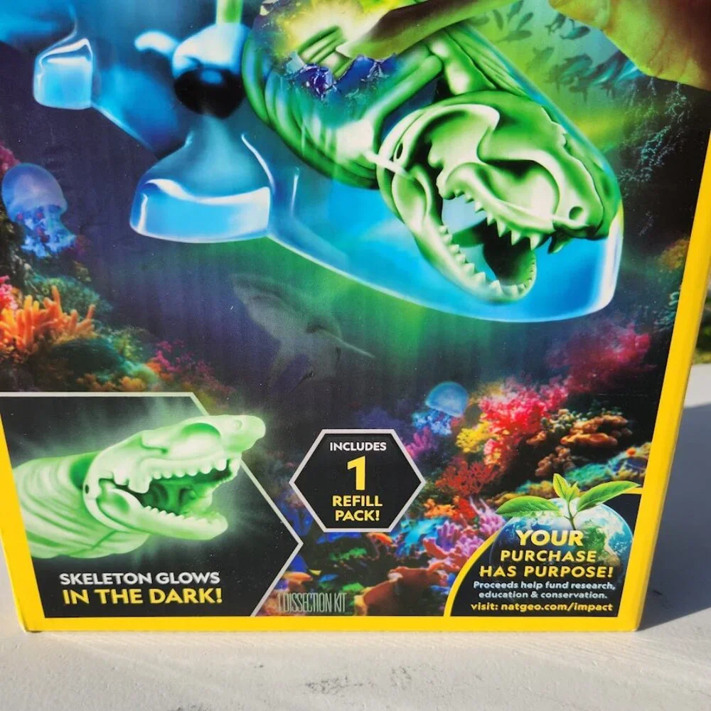 National Geographic Shark Dissection Kit Glow in The Dark Great White Shark Anat